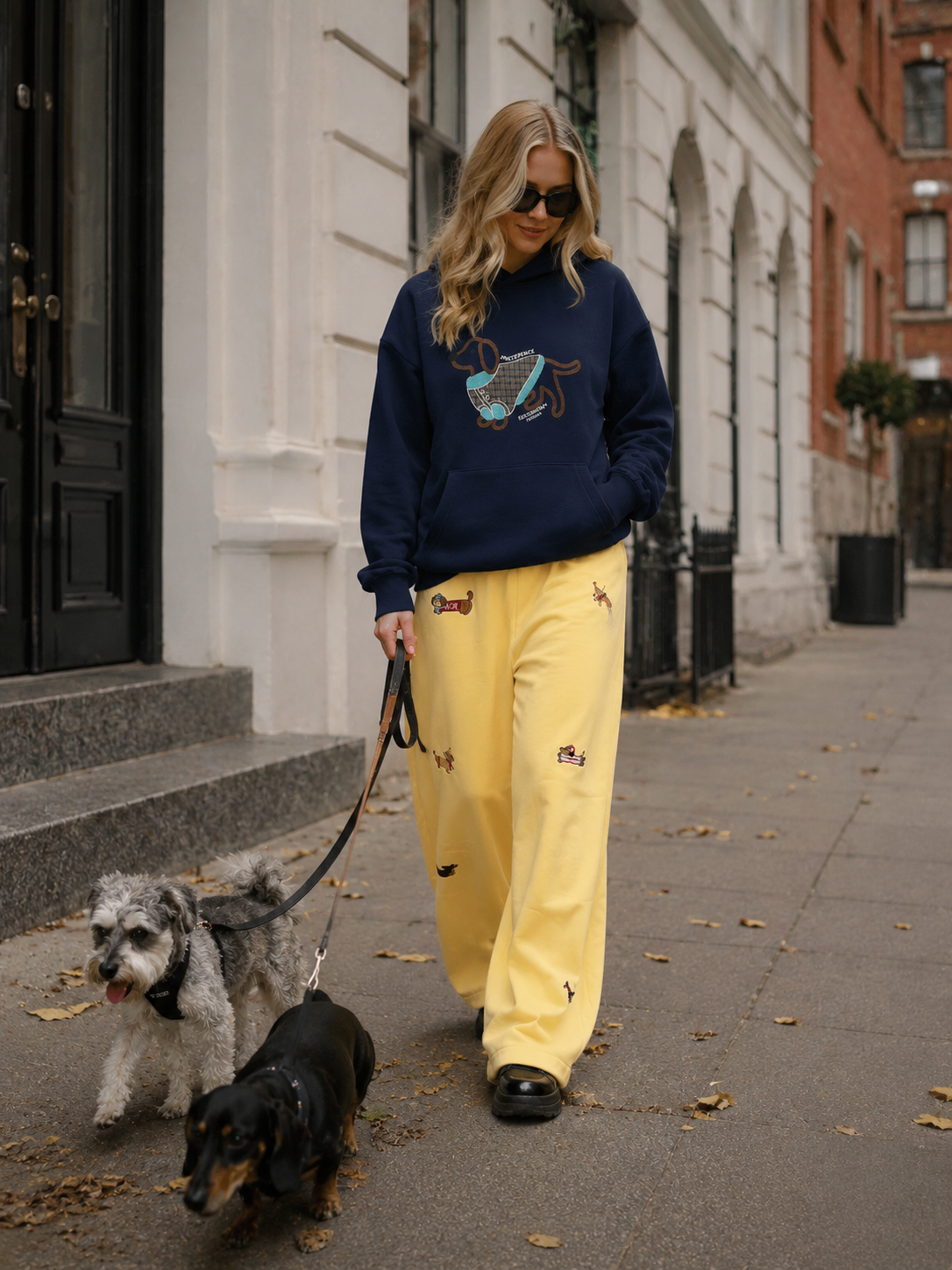 MEZOCLO™ Lazy Dog Hoodie — heavyweight oversized pullover lifestyle look